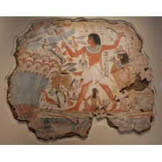 Nebamun hunting in the marshes